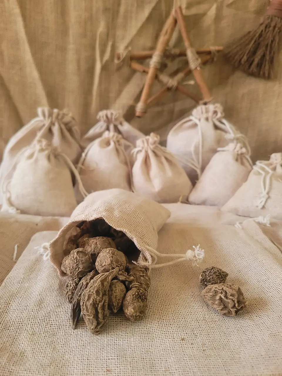 Jalep Root Natural Herb