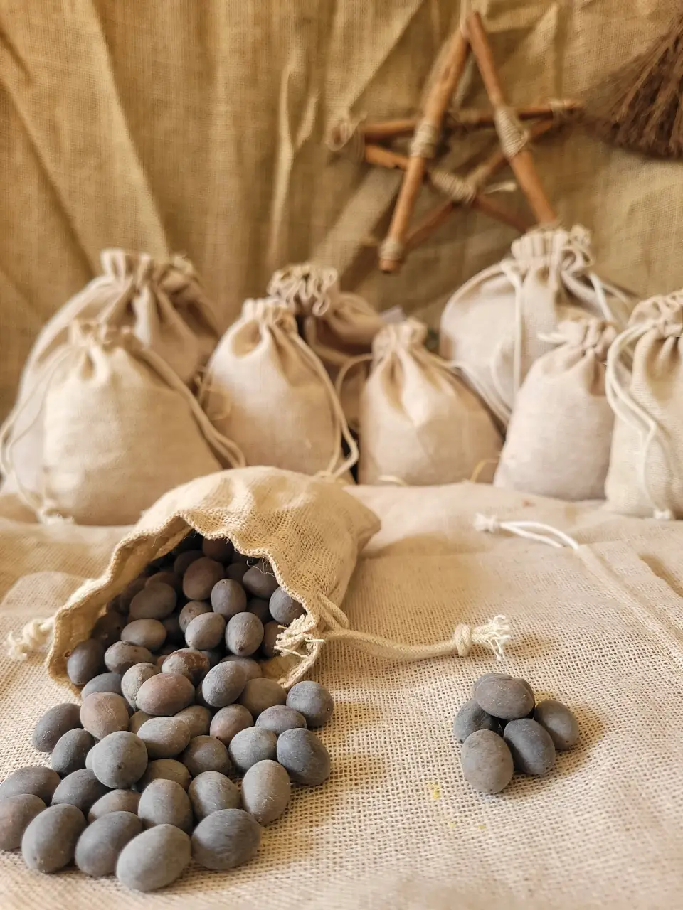 lotus-seeds