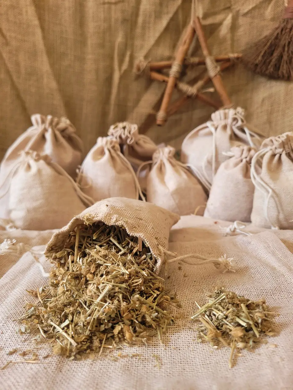 morning-glory-natural-herb