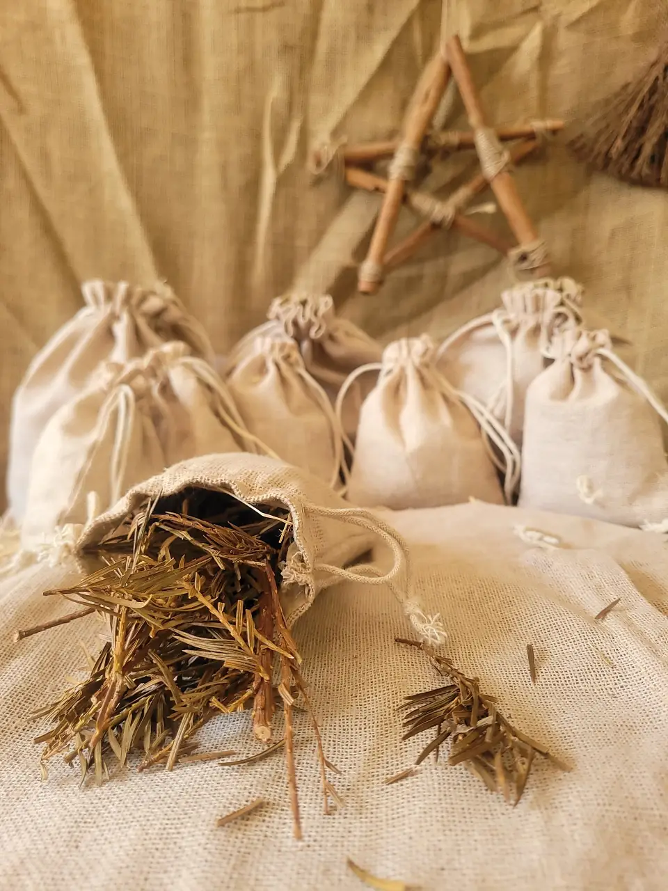 pine-needle-natural-herbs
