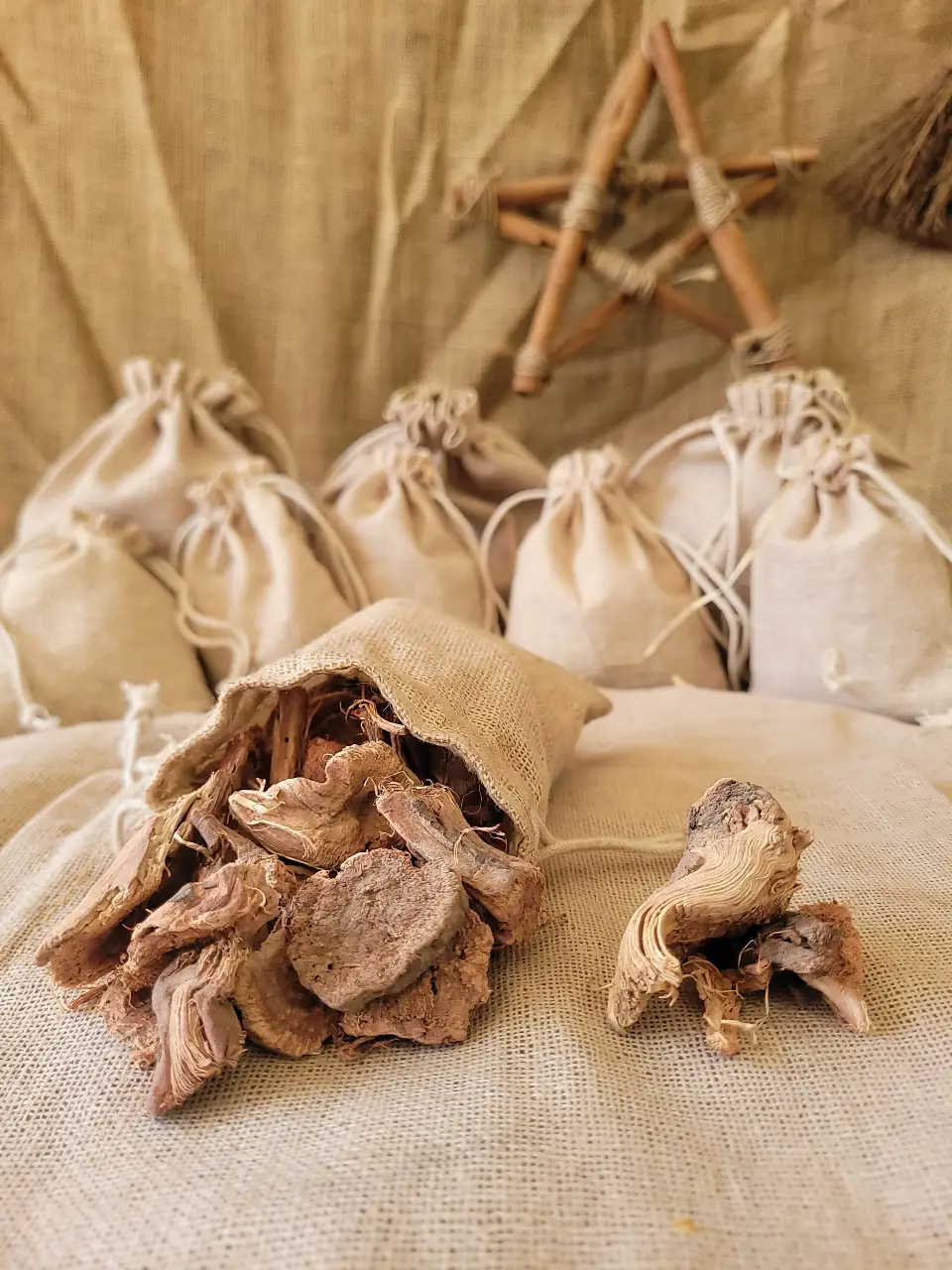 rag-wort