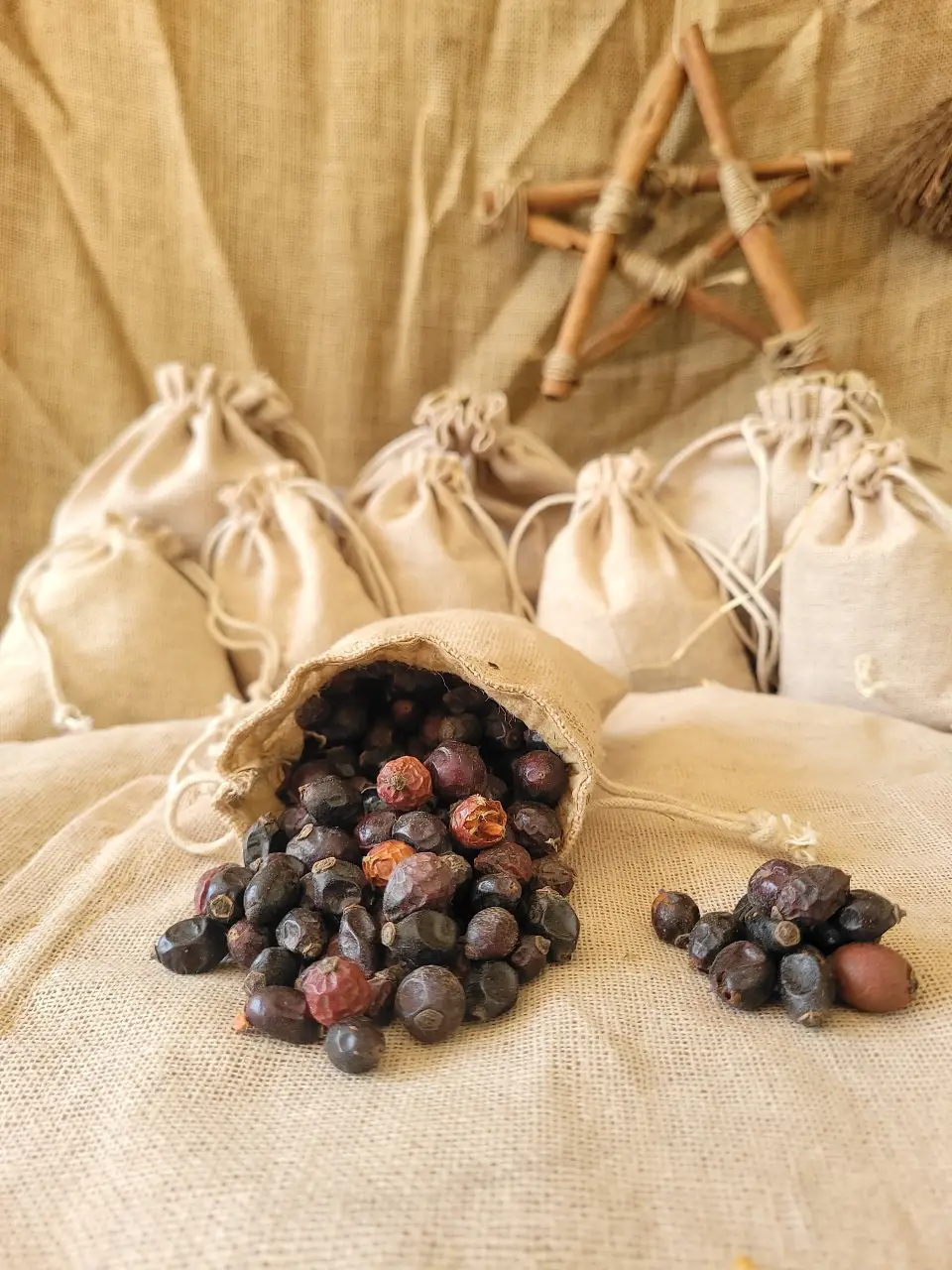 rose-hips