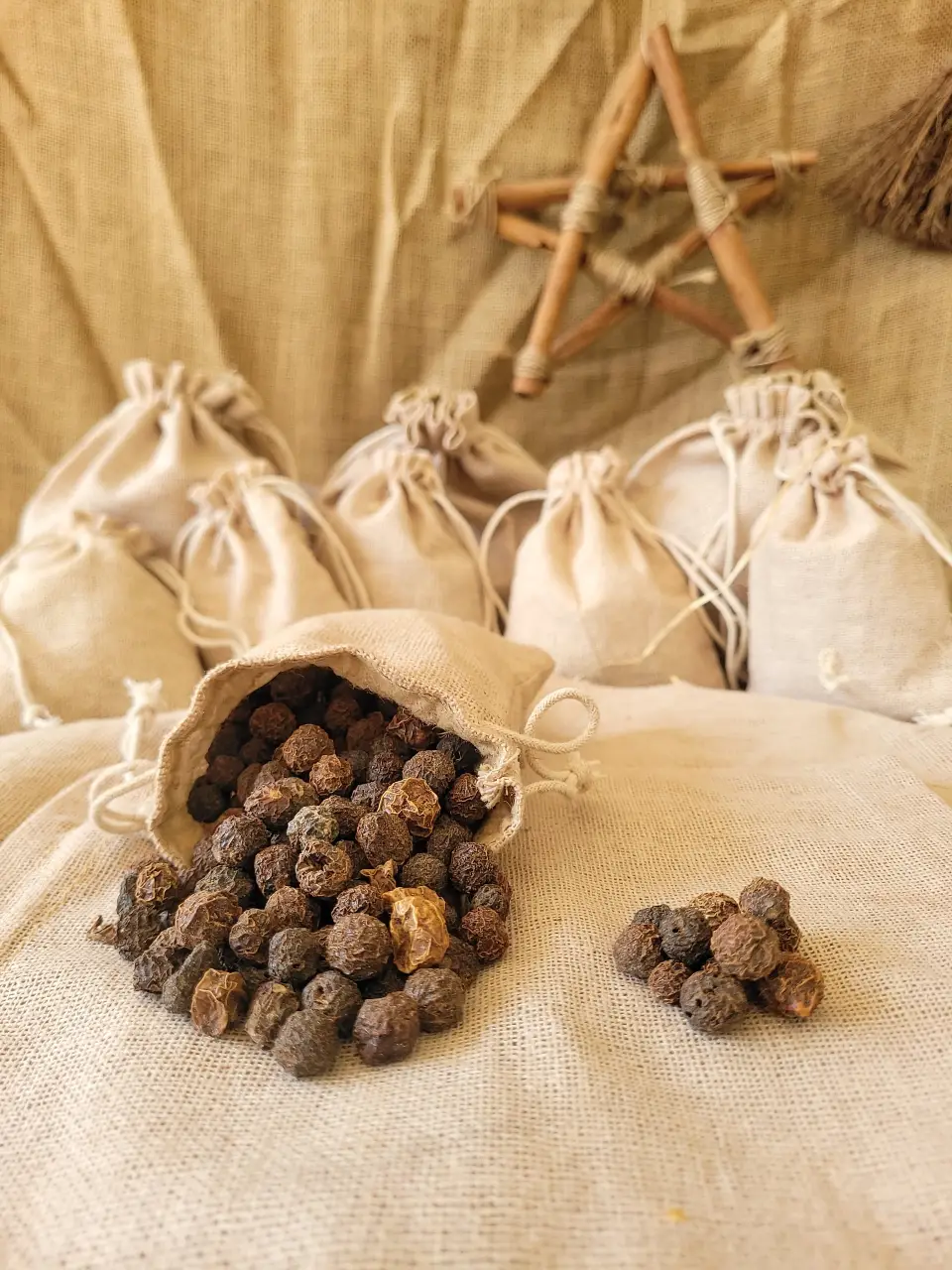 rowan-natural-herb