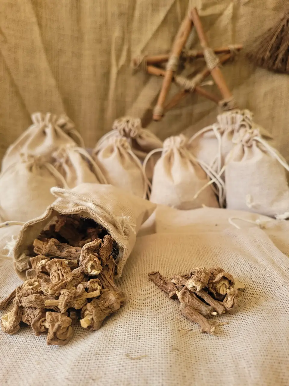sarasparilla-natural-herb