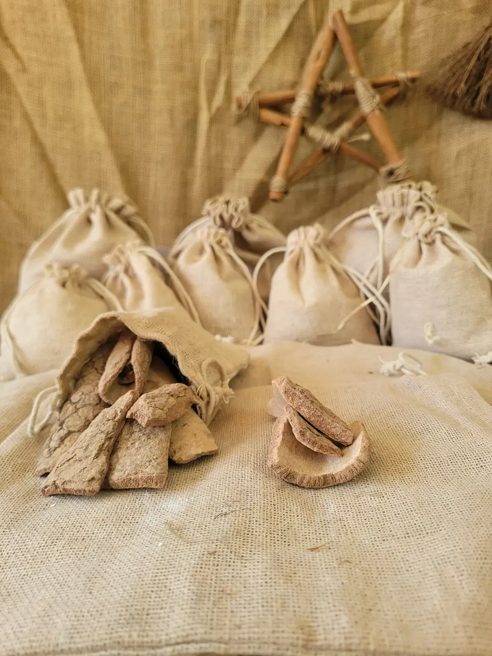 shallots-natural-herb