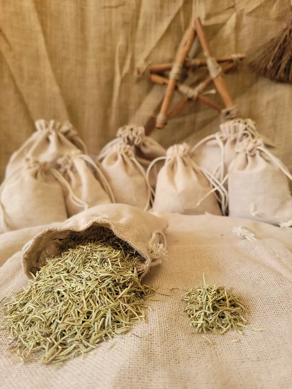 shave-grass-natural-herb