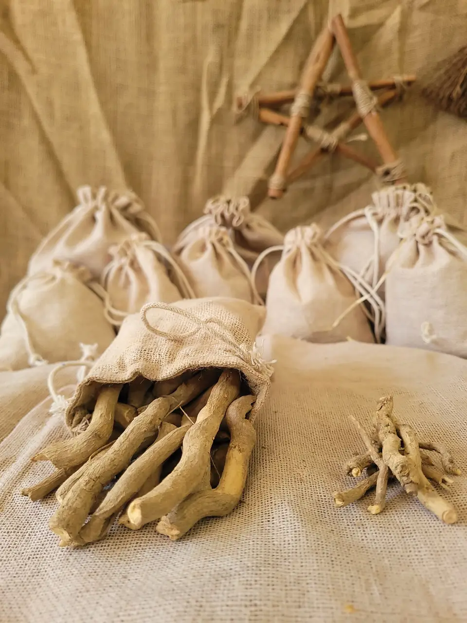 snake-root