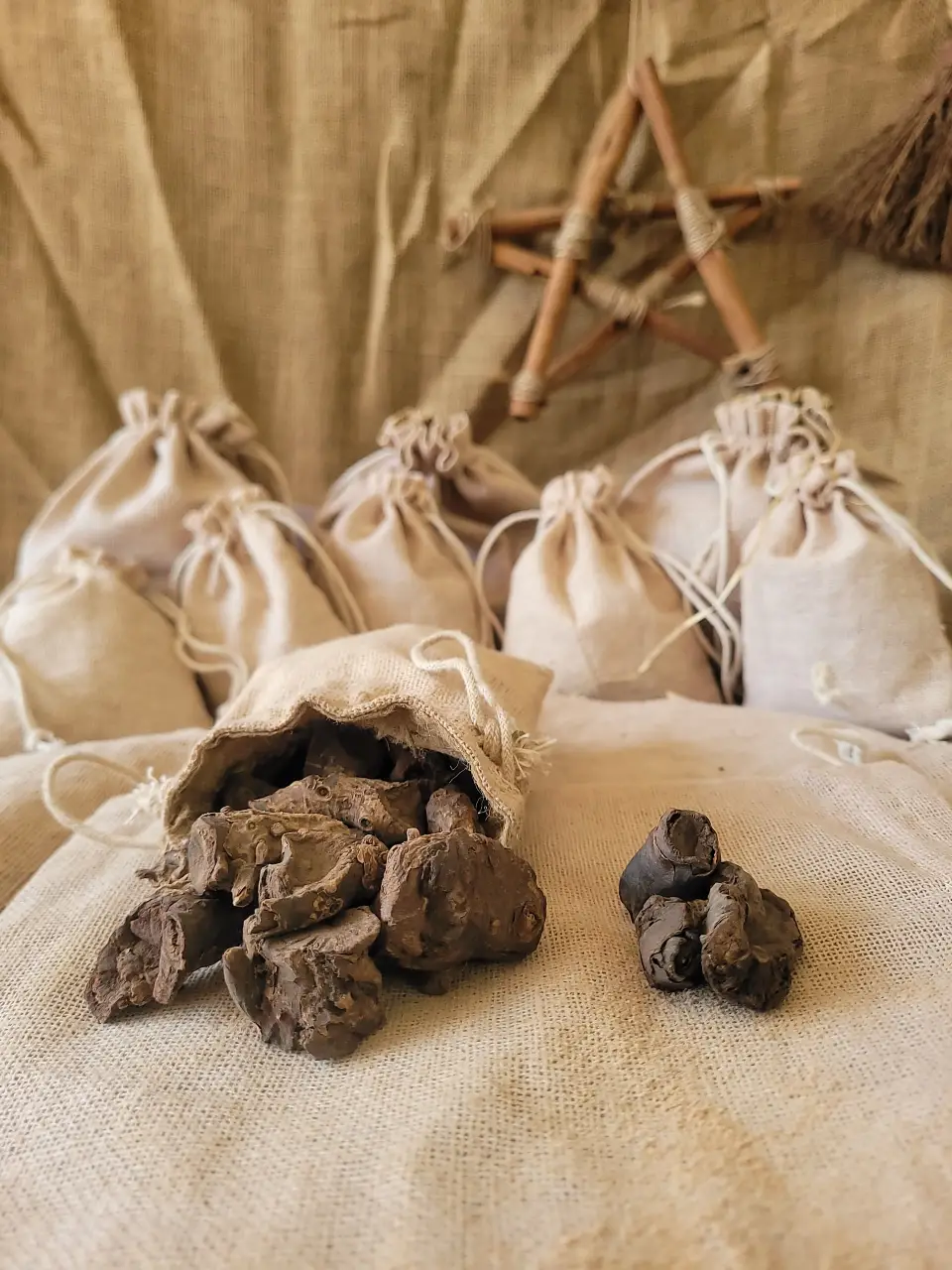 snap-dragon-root-natural-herb
