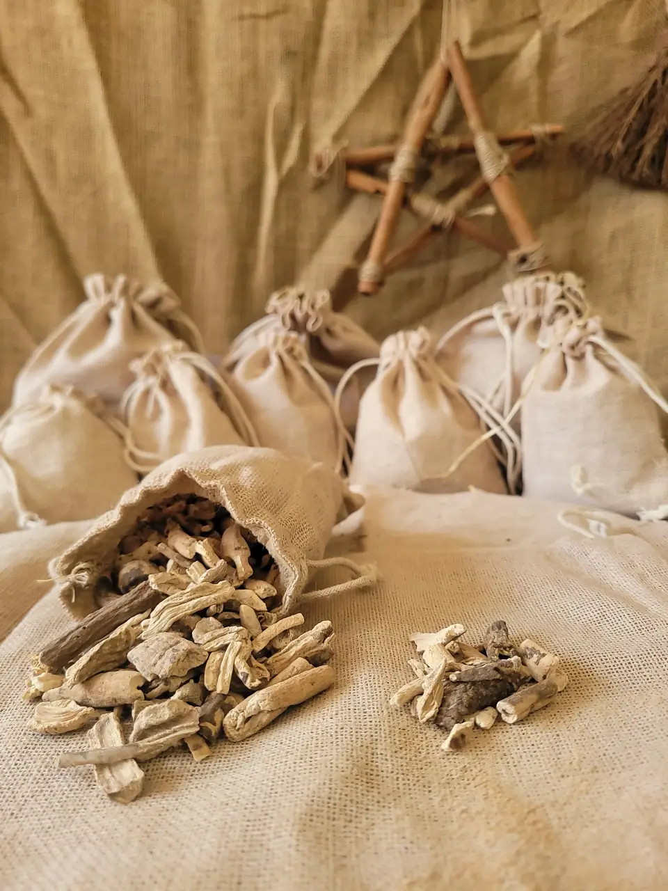 soloman-seal-natural-herb