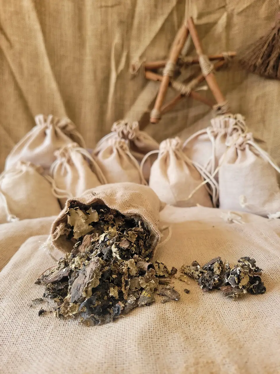 spanish-moss-natural-herb