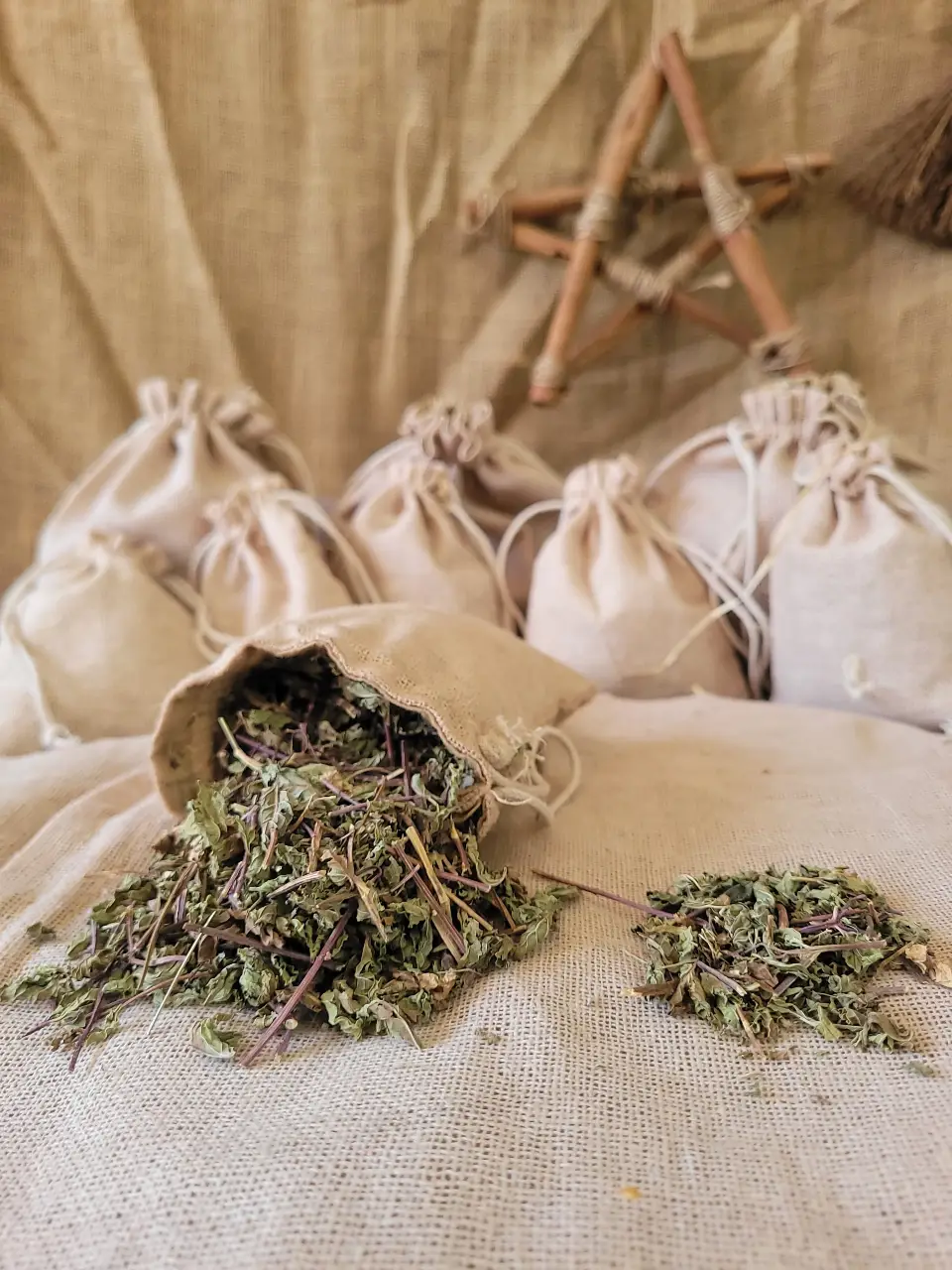 spar-mint-leaves