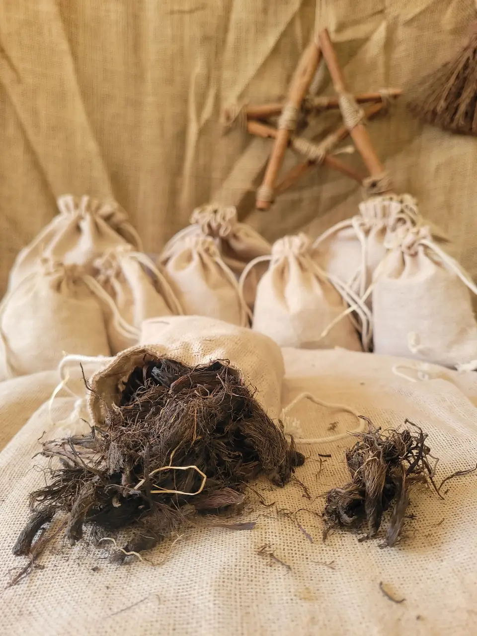 spikenard-natural-herb