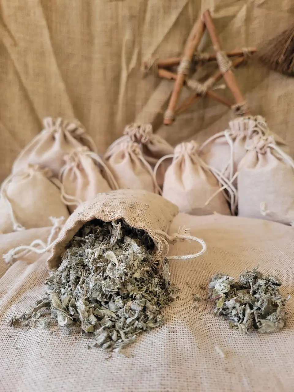 st.john-natural-herb