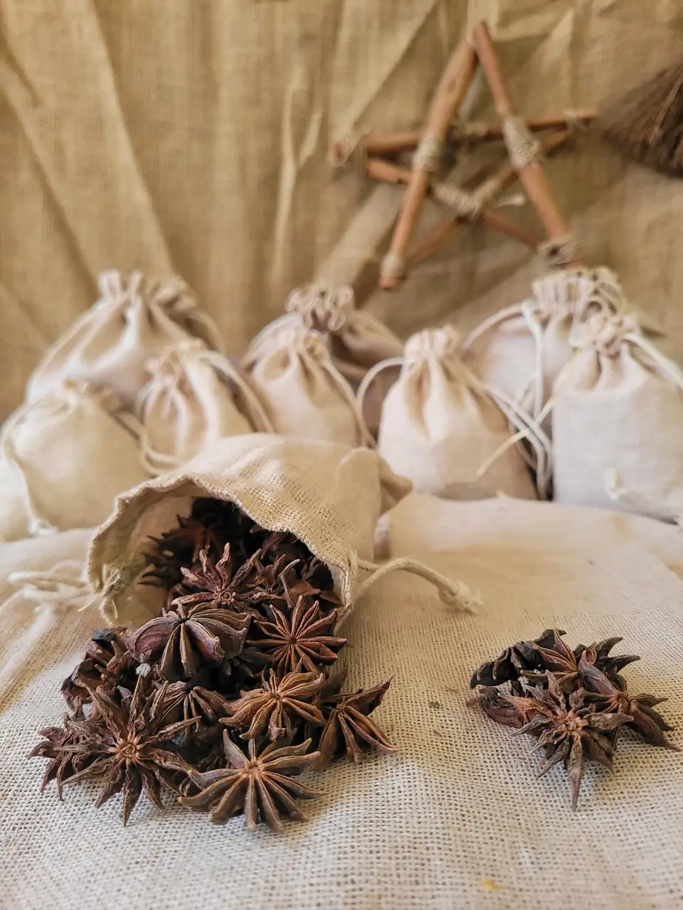 star-anise