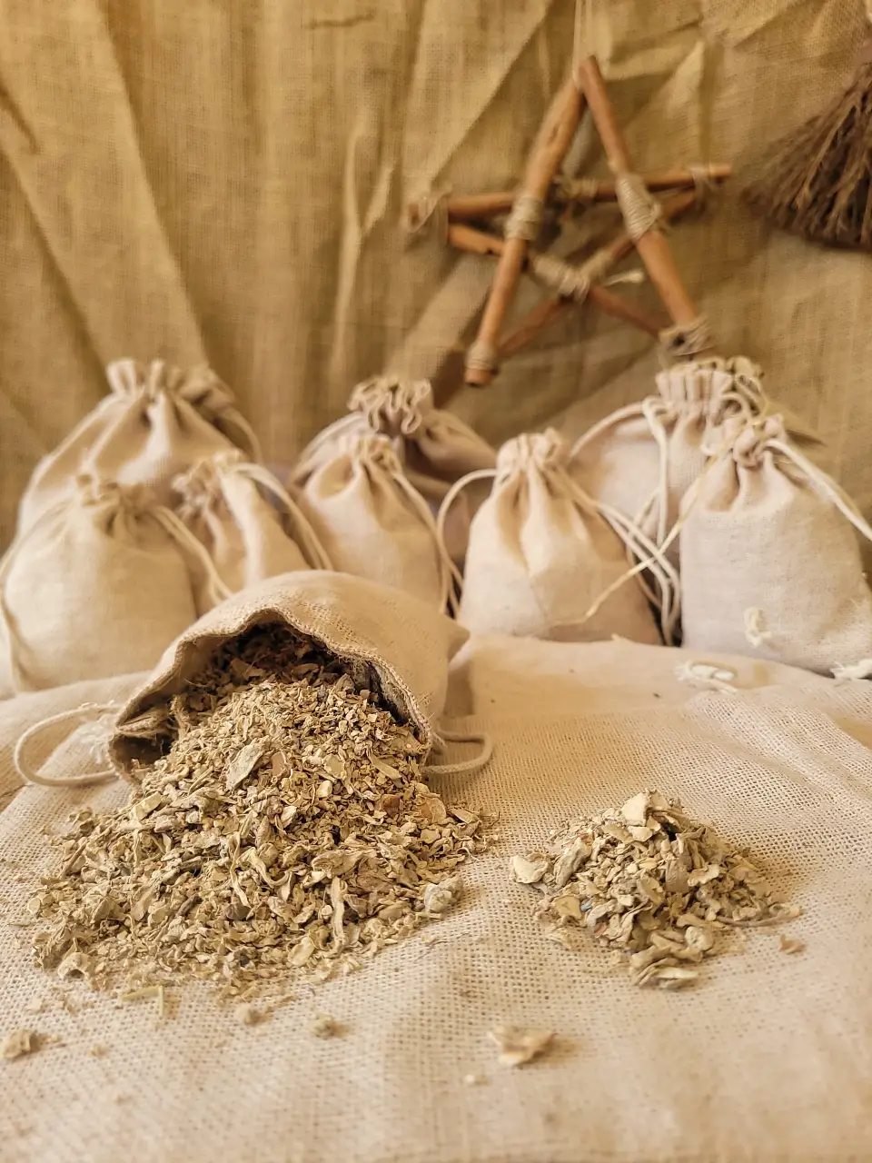 sweet-bugle-dried