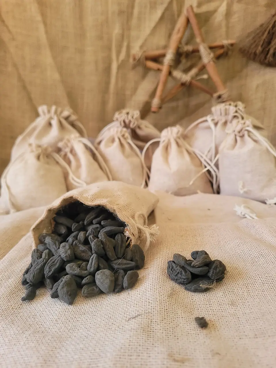 toka-beans-indian-natural-herb