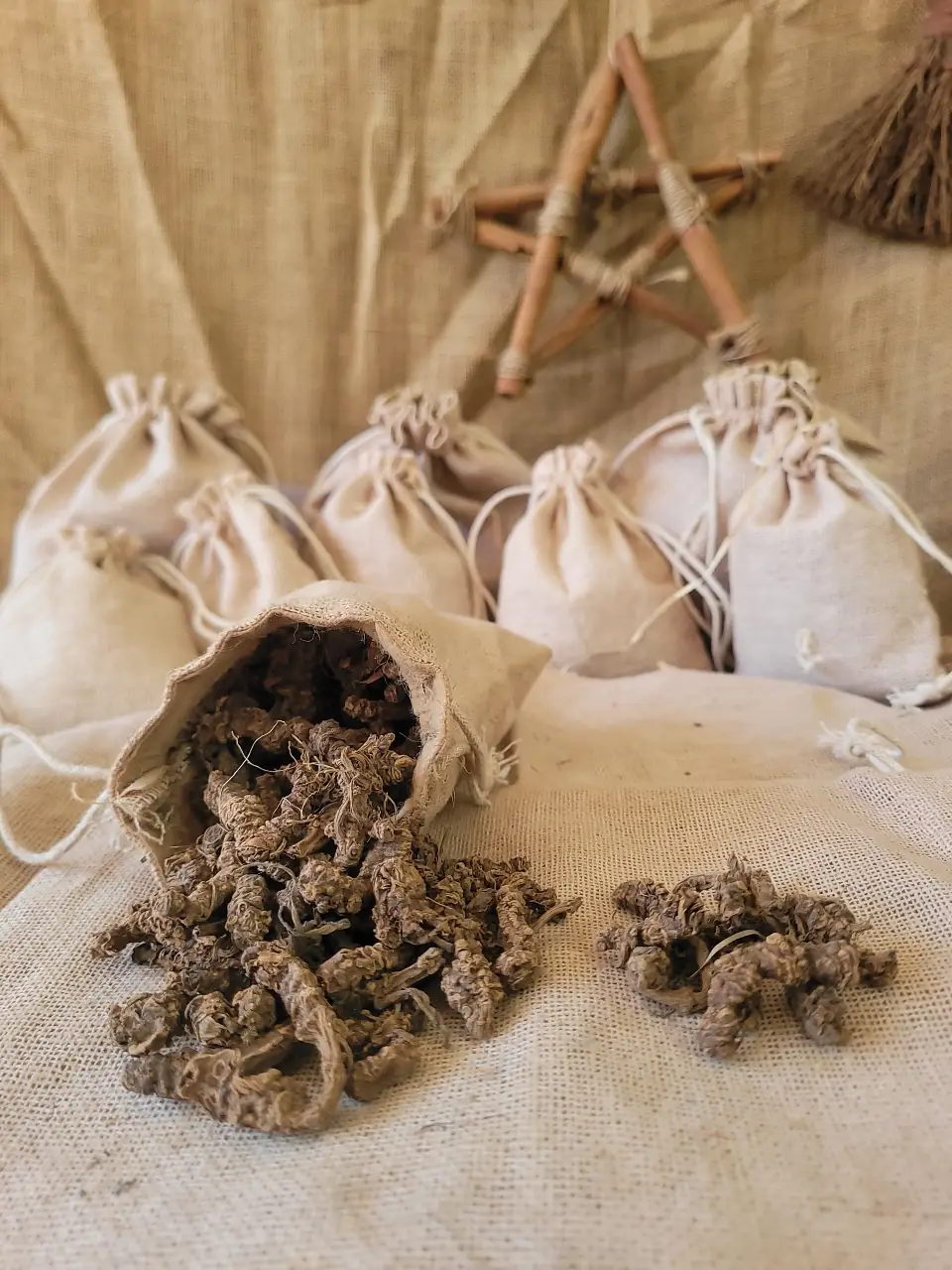valerian-root-natural-herb