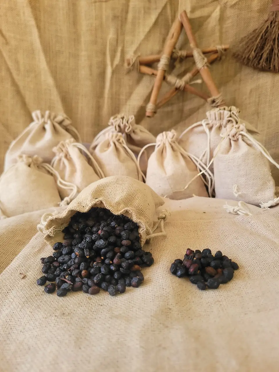 vech-seeds-natural-seeds