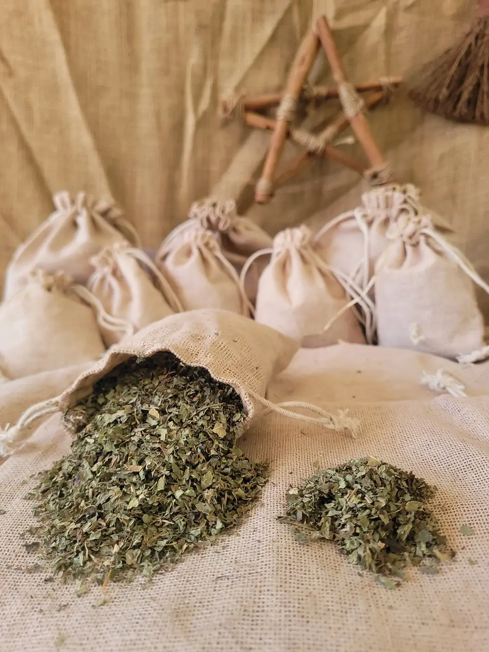 verbena-natural-herb