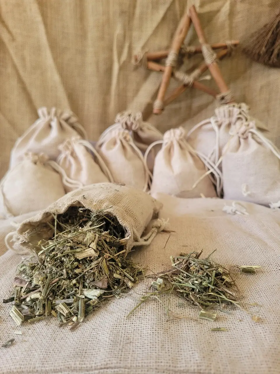 vervain-natural-herb