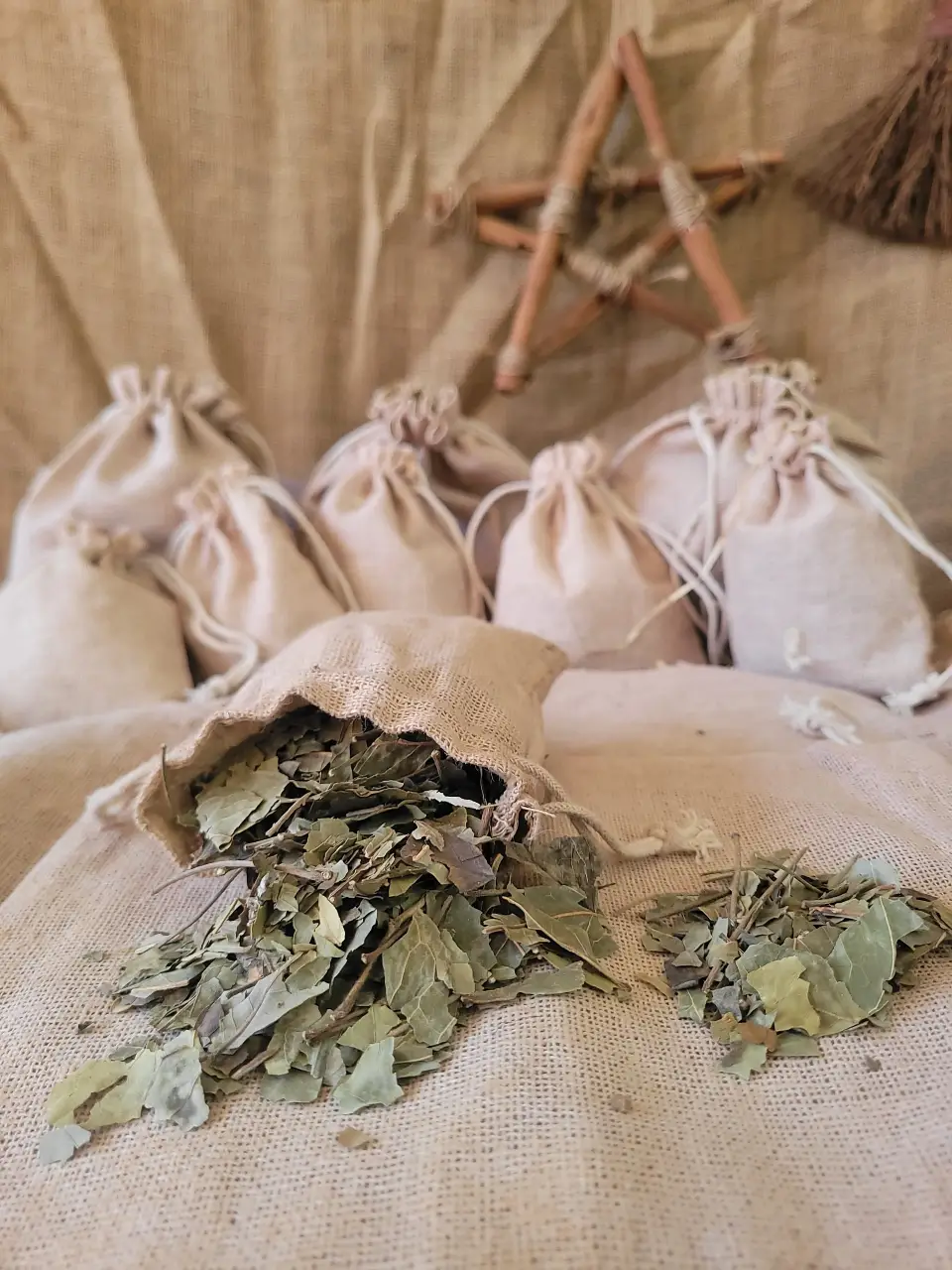 winter-green-natural-herb