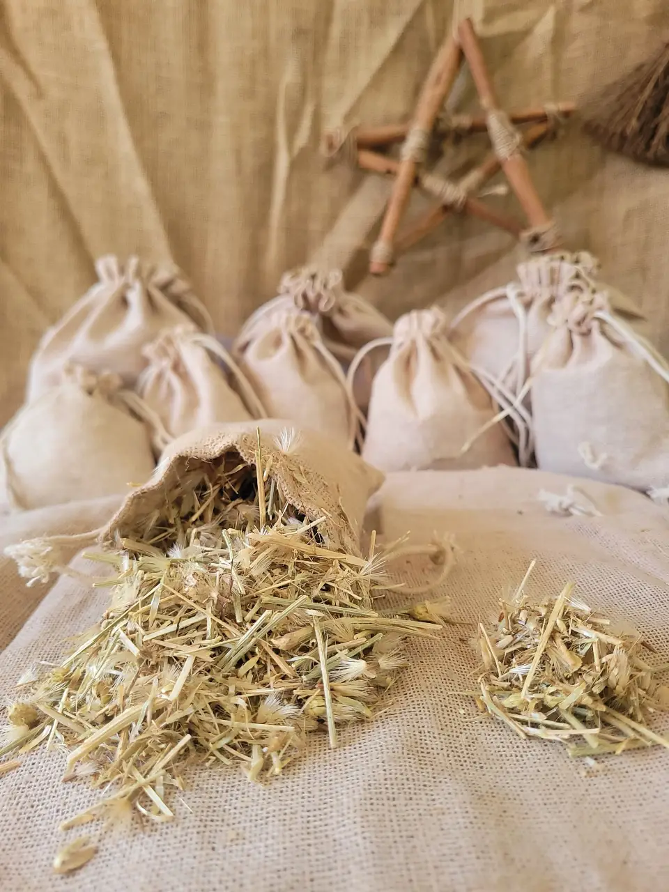 witch-grass-natural-herb
