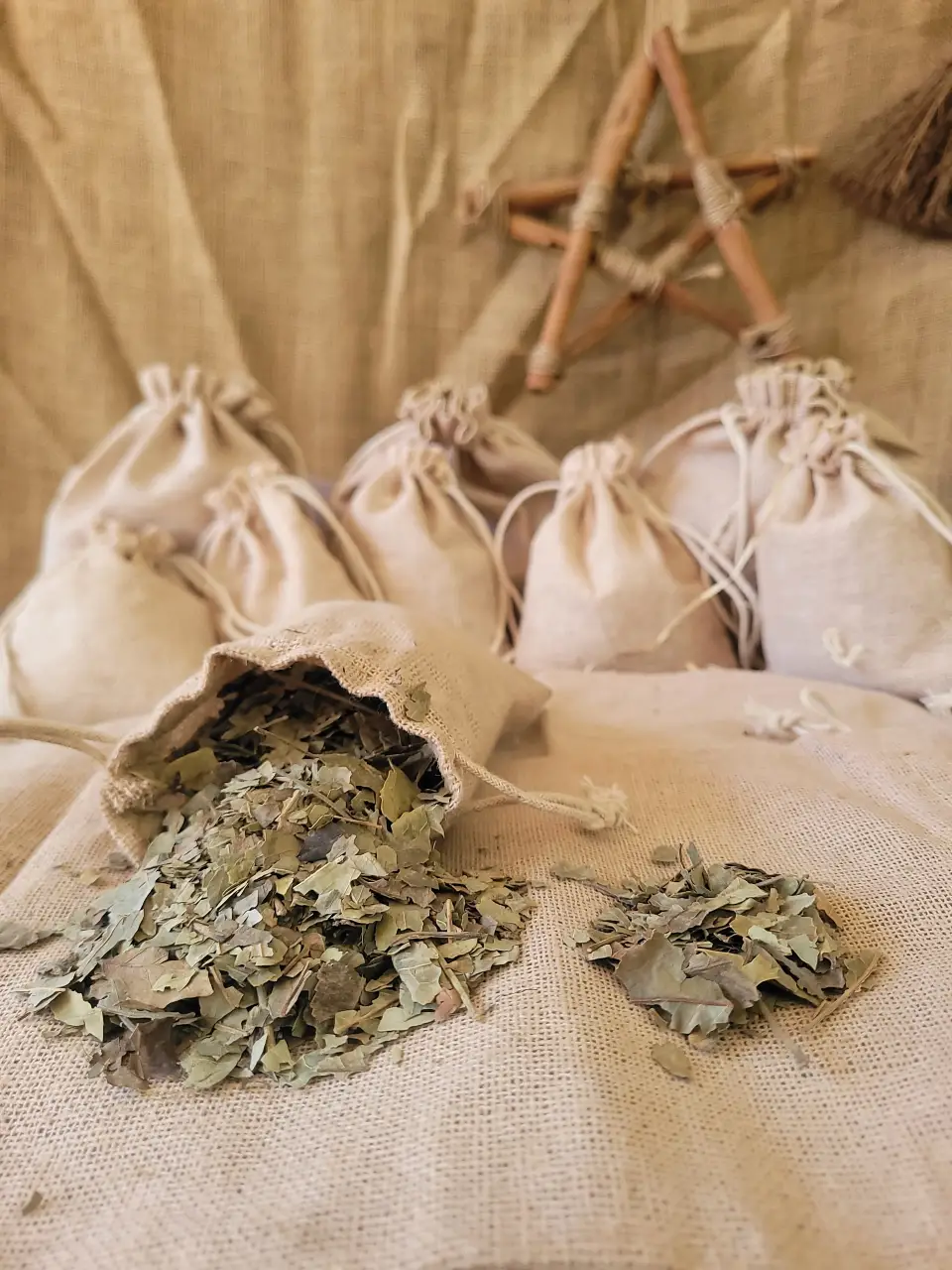 witch-hazel-natural-herb