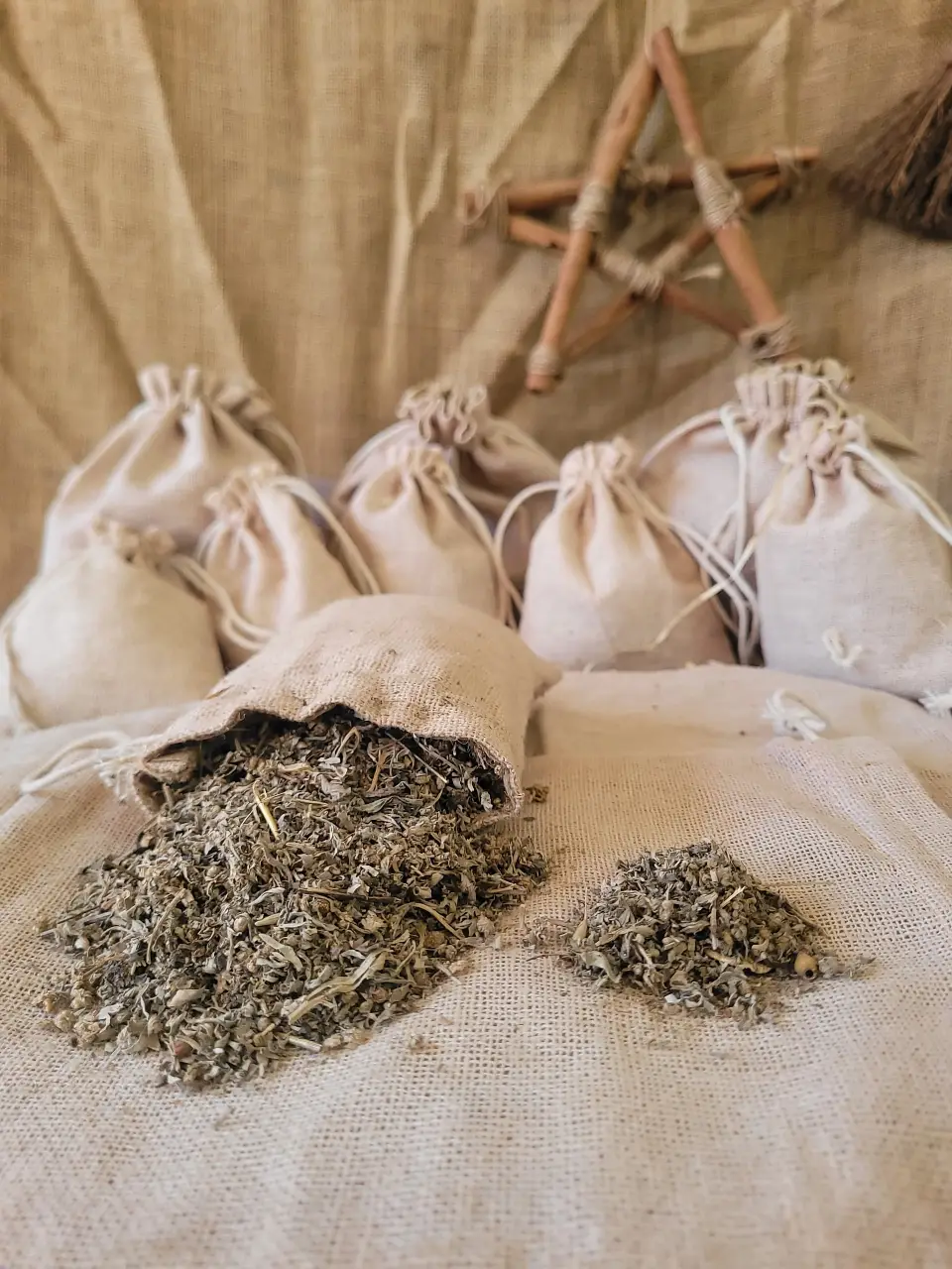 worm-wood-natural-herb